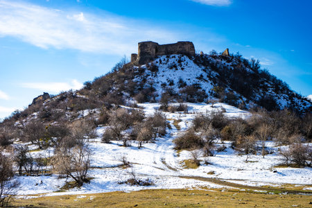 Famous georgian travel  landmark Manavi castle in winter time