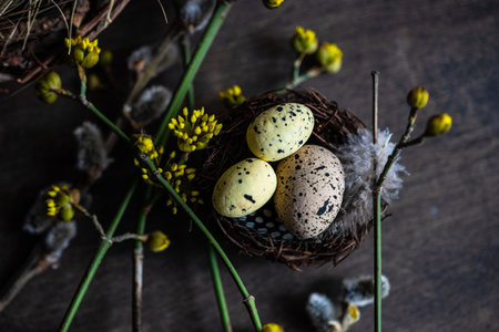Easter card concept with eggs on rustic wooden background with copy space
