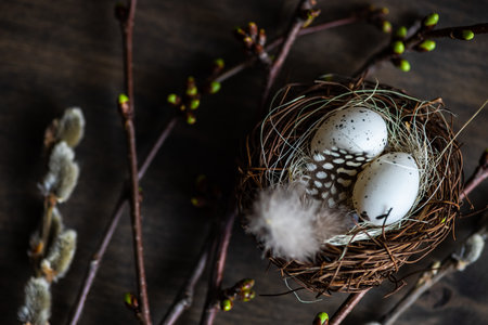 Easter card concept with eggs on rustic wooden background with copy space