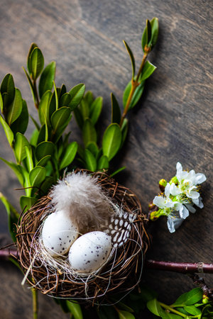 Easter card concept with eggs on rustic wooden background with copy spaceの写真素材