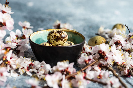 Spring card concept with apricot blossom  on concrete grey background with copy spaceの写真素材