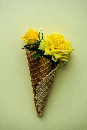 Yellow roses on yellow background as a floral card concept with copy spaceの写真素材