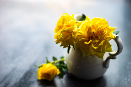 Fresh yellow roses after the rain in a vase on rustic background with copy spaceの写真素材