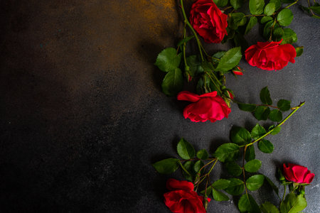 Fresh red roses on dark concrete background with copy space as a gift card conceptの写真素材