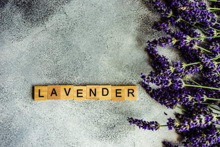 Summer card concept with frame made with fresh Lavandula flowers and wooden blocks on concrete background with copy spaceの写真素材