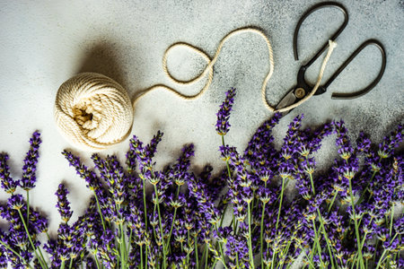 Summer card concept with fresh Lavandula flowering plant on stone background with copy spaceの写真素材