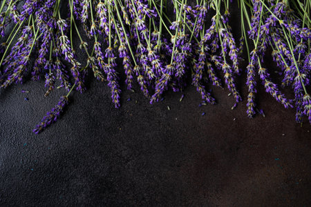 Summer card concept with fresh Lavandula flowering plant on stone background with copy spaceの写真素材