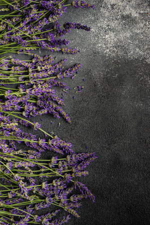 Summer card concept with fresh Lavandula flowering plant on stone background with copy spaceの写真素材