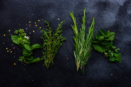 Variety of fresh herbs like a basil, thyme, oregano  on dark stone background with copy spaceの写真素材