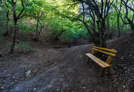 Hiking trail on route from Turtle lake to Mtatsminda is one of the most famous healthy hike trails in Tbilisi, Georgiaの写真素材