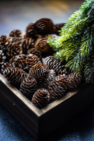 Christmas card concept with varieties of cones on stone background with copy spaceの写真素材