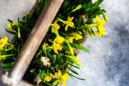 Beautiful flower pot with yellow daffodils with eggs as a spring interior compositionの写真素材