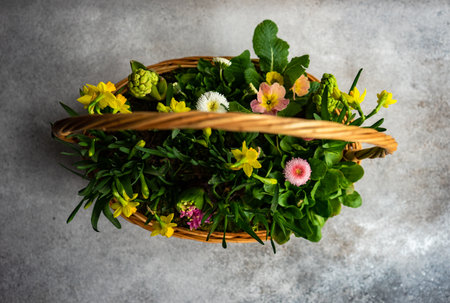Spring floral interior composition on concrete backgroundの写真素材