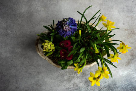 Spring floral interior composition on concrete backgroundの写真素材
