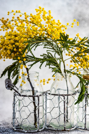 Interior decoration with bouquet of mimosa flowers on concrete backgroundの写真素材