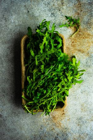 Fresh and raw arugula herb on concrete backgroundの写真素材