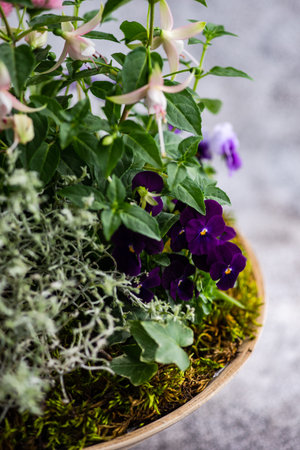 Easter floral composition with spring flowers and colored eggsの写真素材