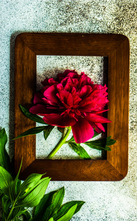 Summer background frame with bright red peony flowers on concrete backgroundの写真素材