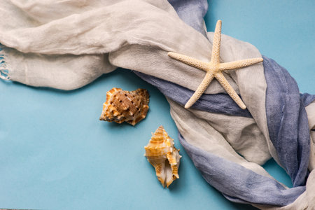 Flat lay summer composition with sea shells on blue background with copy space