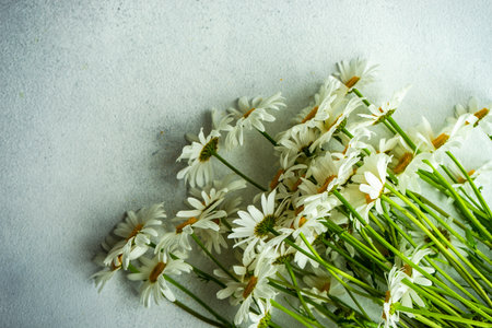 White daisy flowers as a summer backgroundの写真素材