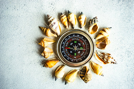 Summer background with compass and seashells on concrete backgroundの写真素材