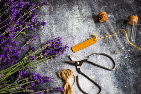 Fresh lavender flowers on concrete backdrop as a summer background conceptの写真素材