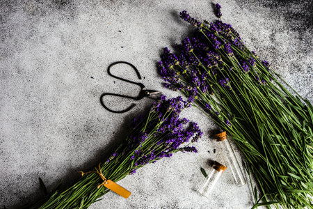 Fresh lavender flowers on concrete backdrop as a summer background conceptの写真素材