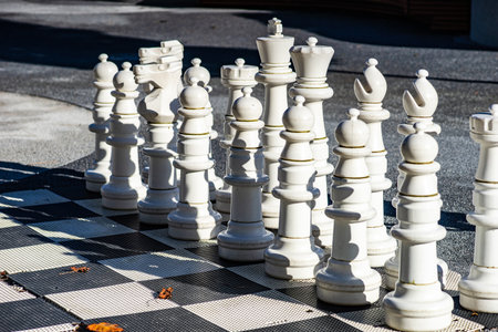 Goutdoor boad chess game outdoor in the park