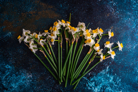 Bouquet of fresh spring daffodil flowers with ribbon on stone backgroundの写真素材