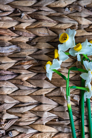 Easter floral card concept with daffodils on rustic background with copy spaceの写真素材