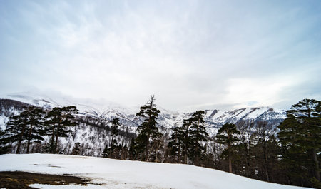 Covered with snow Caucasus mountain in Bakuriani resort, Georgia