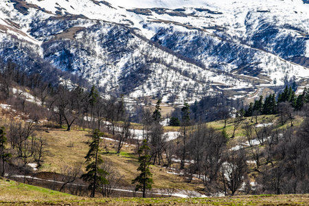 Bakuriani resort in Georgian Caucasus mountain in the middle of spring time