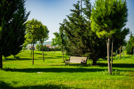 Park bench in the summer  parkの写真素材