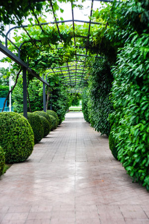Rural park decoration in summer timeの写真素材