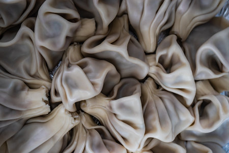 Traditional georgian dumplings known as khinkali served on the plateの写真素材
