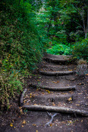 Rural stepway in the park in early autumnal season