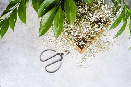 Spring nature flat lay with white Gypsophila flowers and green leaves of Ruscus plantの写真素材