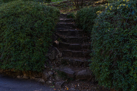 Stepway in the autumnal park