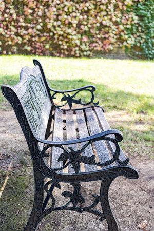 Park bench in the autumnal seasonの写真素材