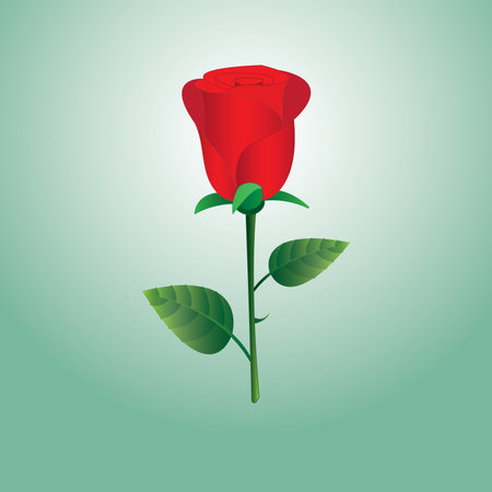 A red rose flower with green background for gift Vector illustration.のイラスト素材