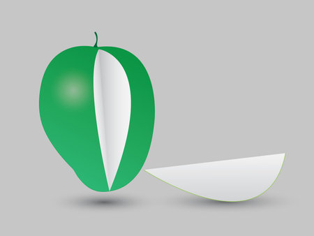 A sliced fresh green mango on white background vectorのイラスト素材