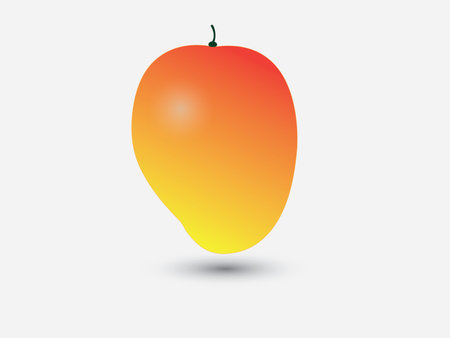 A sweet ripe mango on white background vectorのイラスト素材