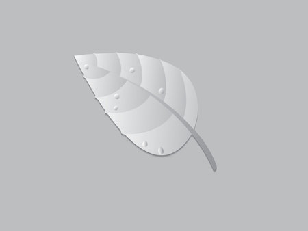 A black and white paper leaf on dark page vector illustrationのイラスト素材