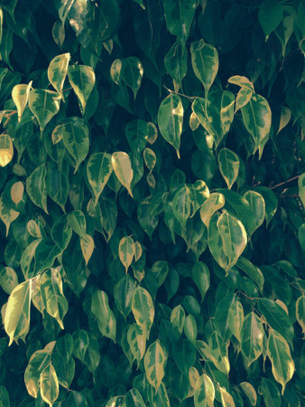 The texture of decorative foliage is of classical shape. Crocheted plants with small leaves, flat...