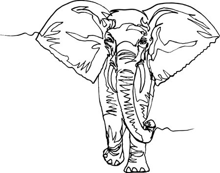 Elephant walking. Black liner continuous line drawing.のイラスト素材
