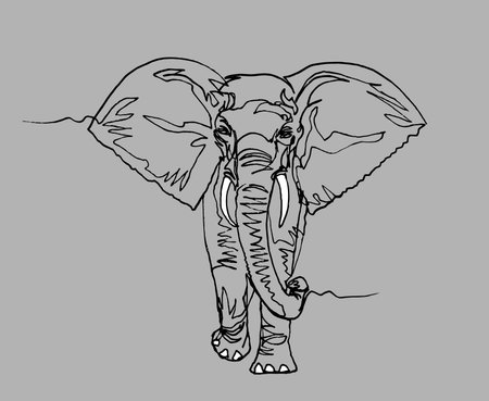 Elephant walking, front view. Africa, Black liner continuous line drawing on gray paper. Wildlife, animal Vector illustration.のイラスト素材
