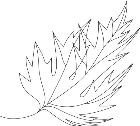 Autumn fallen maple leaf. He slightly bent, fell to the ground, windy, thin black linesのイラスト素材