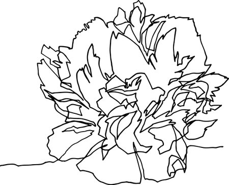 Peony flower close-up, minimalist black and white illustration of one continuous line, flora fauna, beauty, fashion, aesthetics, plants, modern art, emotional drawing.のイラスト素材