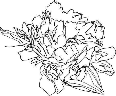Peony flower close-up, minimalist black and white illustration of one continuous line, flora fauna, beauty, fashion, aesthetics, plants, modern art, emotional drawing.のイラスト素材