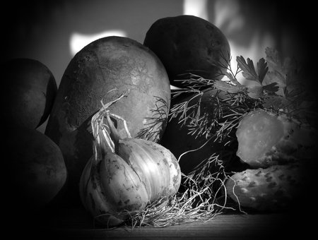 Still life of vegetables taken from the bed, potatoes, garlic, parsley, dill, cucumber on wooden board against the background of shadows created by oblique sunlight. Garden, private plot, healthy foodの写真素材